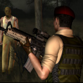 13 days after: survival game