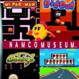 namco museum game