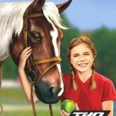let’s ride! – sunshine stables game