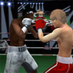 punch boxing championship game