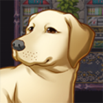 dogventure quest 3: the path of enlightenment game