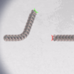 bacteria fighters game