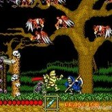 ghouls ‘n ghosts game