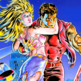 double dragon ii – the revenge game