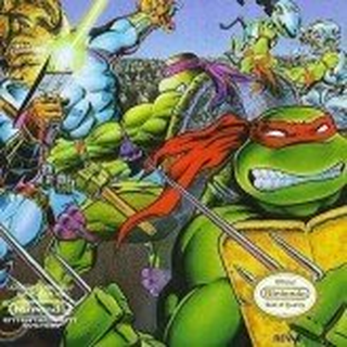 Teenage Mutant Ninja Turtles III
