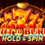 hot to burn hold and spin game