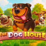 the dog house game