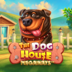 the dog house megaways game
