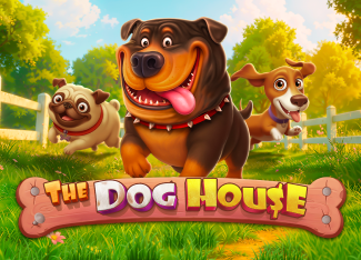 the dog house game