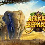 african elephant game