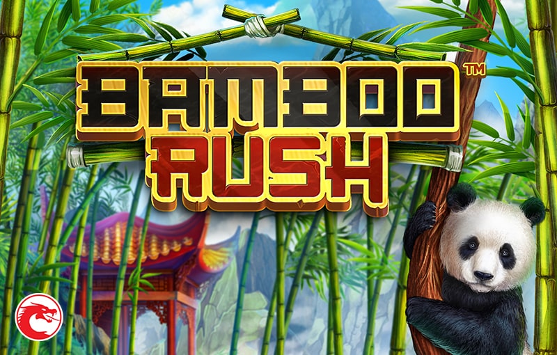 bamboo rush game