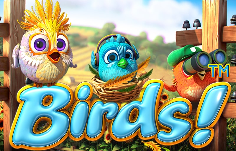 birds! game