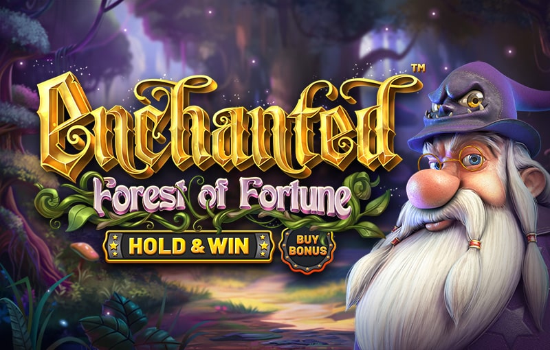 enchanted: forest of fortune game