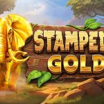 stampede gold game