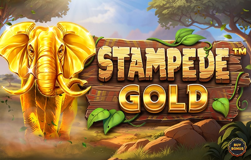 stampede gold game