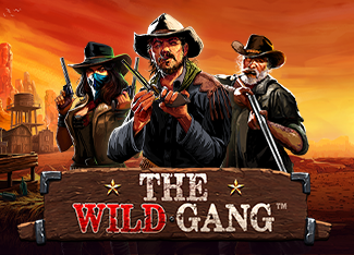the wild gang game