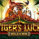 tiger's luck - hold & win game
