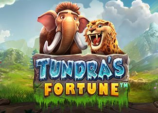 tundra’s fortune game