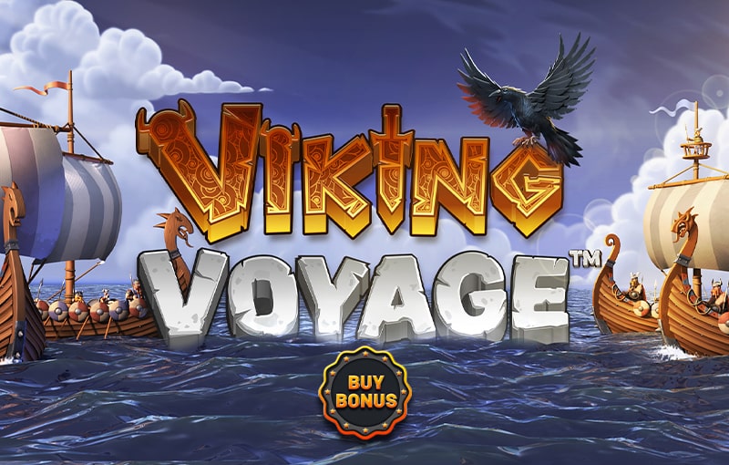 viking voyage game