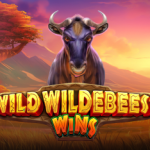 wild wildebeest wins game