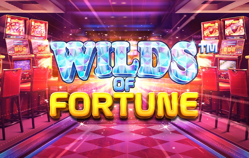 wilds of fortune game