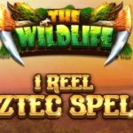 1 reel – aztec spell game