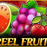 1 reel fruits game