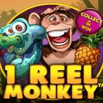 1 reel monkey game