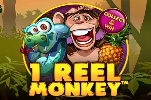 1 reel monkey game
