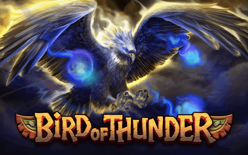 bird of thunder game