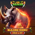 blazing rhino - hold & hit game