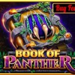 book of panther game