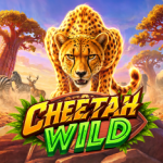 cheetah wild game