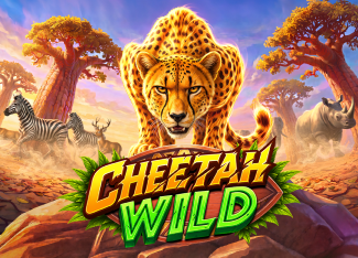 cheetah wild game