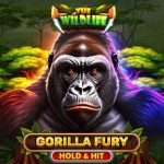 gorilla fury - hold & hit game