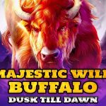 majestic wild buffalo – dusk till dawn game