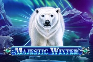 majestic winter game