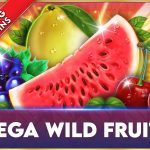 mega wild fruits game