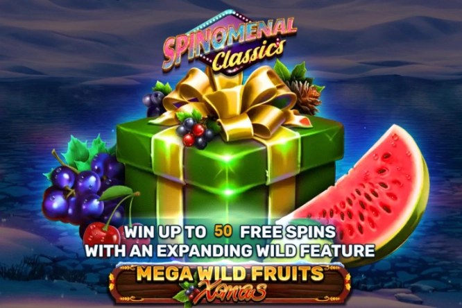 mega wild fruits – xmas game
