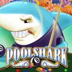 pool shark game