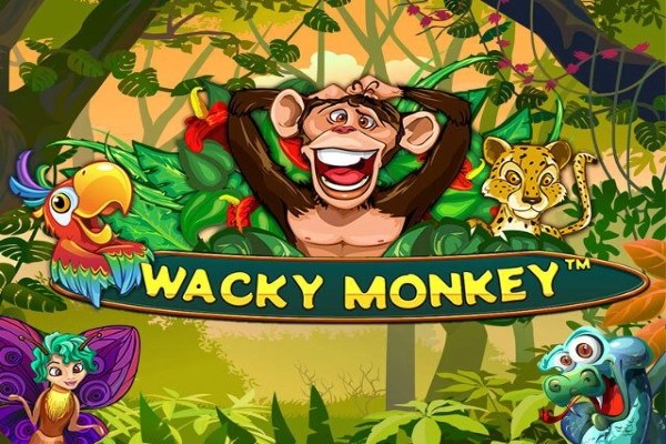 wacky monkey game