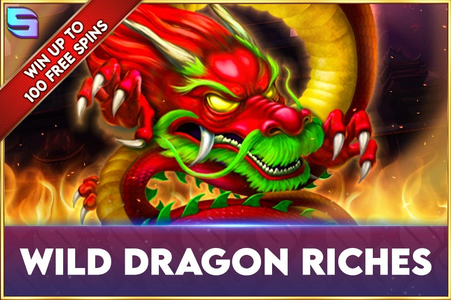 wild dragon riches game
