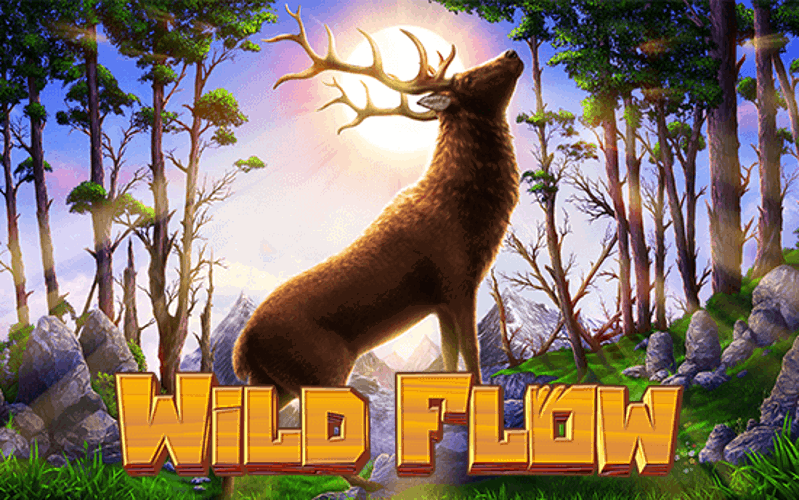 wild flow game