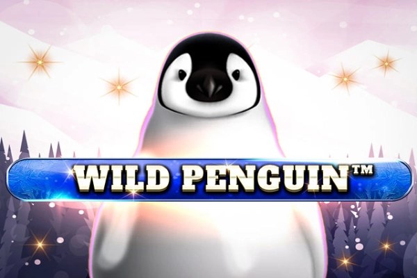 wild penguin game