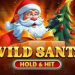 wild santa – hold & hit game