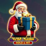 wild xmas – hold & hit game
